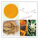 Herbal Extract Turmeric Curcumin Powder Cosmetic Grade Turmeric Root Extract Powder