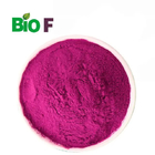 Natural Cranberry Powder Organic Cranberry Juice Powder For Solid Drink