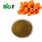 Fruit Sea Buckthorn Powder Organic Sea Buckthorn Flavone For Juice
