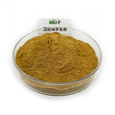 Food Grade Lions Mane Mushroom Extract Powder Organic Quality Raw Material