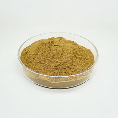 Hot Selling Hamamelis Virginiana Extract Powder 10:1 Witch Hazel Extract