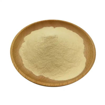 CAS 21967-41-9 Solubility Baicalin 90% Scutellaria Baicalensis Extract Pale Yellow Powder
