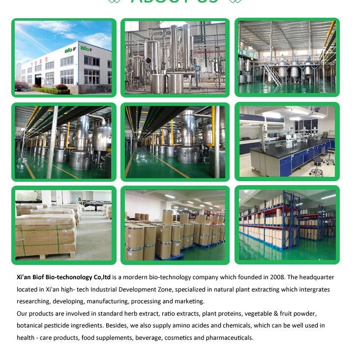 Shelf Life 2 Years Natural Nutrition Supplements Delivering Essential Vitamins and Minerals for Daily Health Maintenance